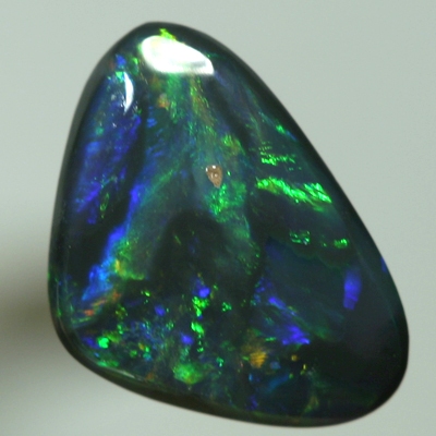 SOLID BLACK OPAL Bright orange amongst green